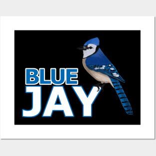 jz.birds Blue Jay Bird Watching Birder Design Posters and Art